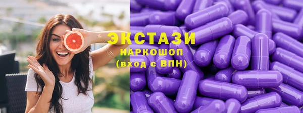 spice Богородицк